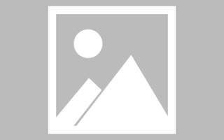 阿坝免编程制作网站（免编程制作网站推荐）